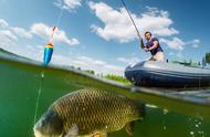 夏季钓鱼秘籍大公开，让你轻松钓到大鲫鱼和大鲤鱼！
