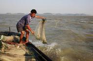 鄱阳湖禁渔两年后，冬日现“鱼滩”！迷魂阵为何成为“绝户网”？
