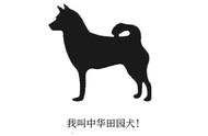 中华田园犬：一种独特的血统传承