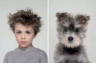 你的发型与宠物的相似度有多高？