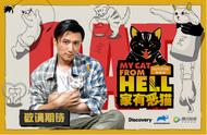 《家有恶猫》中国版热播，谢霆锋带你云养猫