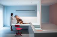 北京犬之家：一个人不如狗的室内设计故事