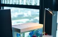 小米推出年轻人的首款鱼缸：智能温控与自动喂食，1600种灯色如夜店狂欢