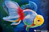 揭秘中国金鱼的辉煌历程：你可能不知道的那些故事