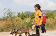 探访泰国流浪狗救助者收容所，感受温暖与关爱