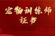 全面解析：宠物训练师证书报考流程与注意事项