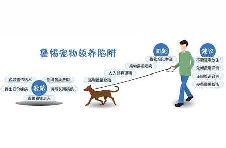 揭秘公益领养背后的陷阱