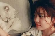 揭秘韩国女艺人具荷拉与萌宠猫的甜蜜瞬间