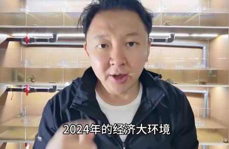 2024年养龟新宠，哪些品种值得投资？