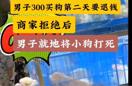 广州街头惊现虐狗事件，男子残忍行径令人发指