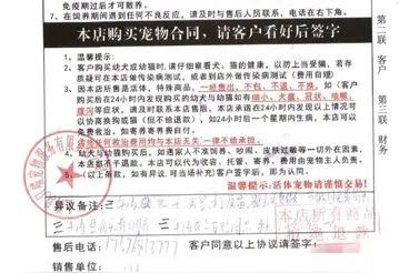 警惕购买星期宠：为何宠物店成为涉诉重灾区？