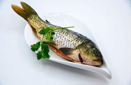 ‘国保’鱼类警告：一口吃下可能违法？