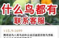 揭示淘宝、贴吧、闲鱼上国家保护鸟类非法交易链