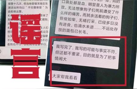 沈阳宠物乐园突发火灾，众多宠物不幸丧生