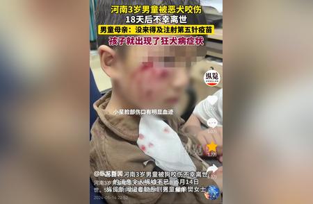 哈士奇悲剧再现：男童不幸离世，狗主责任不容逃避