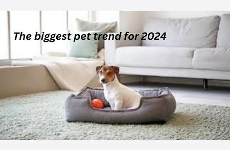 2024年宠物界新潮流：全面宠物护理的崛起