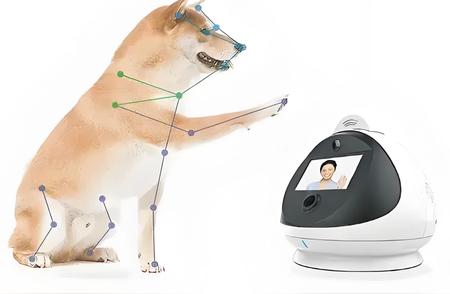 探索宠物新科技：AI医疗让宠物赶上时代潮流