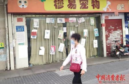 “星期猫”“星期狗”售卖遭罚：宠物店51.5万元罚单背后的真相