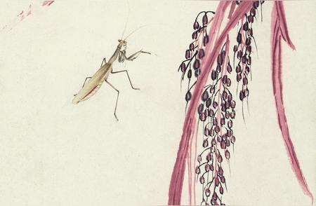 齐白石近现代画赏析：蜜蜂、蝈蝈、螳螂、谷穗与蟋蟀的妙趣世界