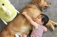 狗狗疫苗的重要性及接种指南
