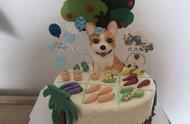 打造独一无二的宠物生日惊喜：DIY宠物生日蛋糕