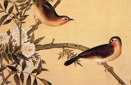 揭秘中国四大名鸟：历史与现状