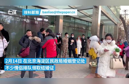 记录甜蜜瞬间：新人与宠物鸭的结婚证之旅