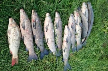 秋季水库钓鱼：5种地形的绝佳钓位，无需打窝即可上鱼