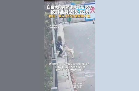 贵州大狗袭击路边女子，21处受伤惊人细节曝光！