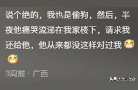 情侣养宠物背后的挑战与乐趣