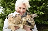 兔子驯化的奥秘：定向途径与控制繁殖的探索