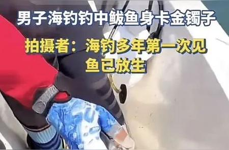 青岛男子在海钓中意外捕获金镯子，这是怎么回事？