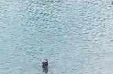 三位钓友在河中央淡定垂钓，令路人惊呆：水深已达到腋窝位置，看起来非常危险