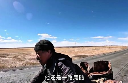 骑行西藏之旅：偶遇藏獒与流浪狗的温馨故事