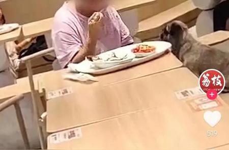 女子与狗同桌用餐引发争议，看网友如何热议
