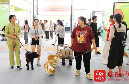萌宠盛宴！北方宠物产业博览会在临沂盛大开幕