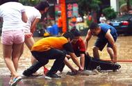 广州河道洪水后乌龟大量涌现，原因揭秘