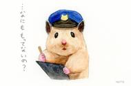 日本超火小仓鼠：软萌治愈无数网友的心！