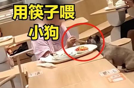 上海惊现！女子餐厅用餐竟与宠物狗共用餐具