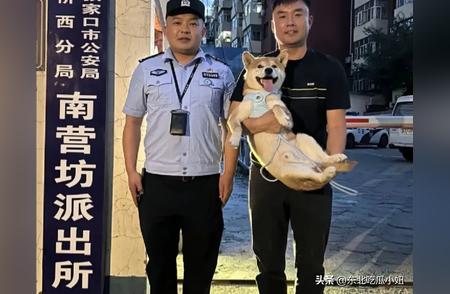 宠物界的感人瞬间：孙海洋时隔九个月寻回爱犬的心路历程