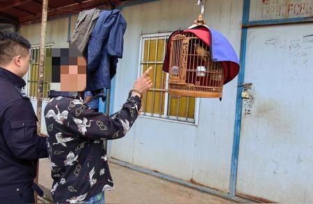 惊动全国！长沙警方破获大规模非法捕猎画眉鸟案