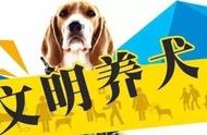 天津市城区烈性犬禁养条例全新通告