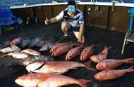 南海西沙钓鱼之旅：揭秘海钓技巧与经验分享
