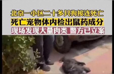 北京丰台小区宠物狗大规模死亡事件震惊社会！