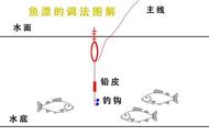 轻松掌握台钓调漂技巧：图解教程