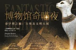 上海博物馆创新之夜：宠物猫观众首次亮相