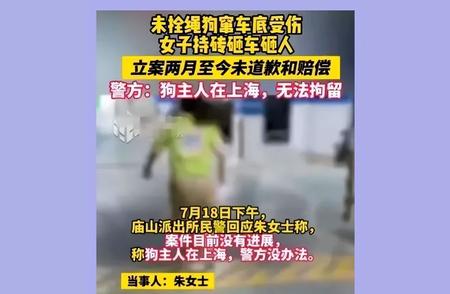 武汉地下车库惊魂：宠物狗被碾压，女主人愤怒砸车事件全记录