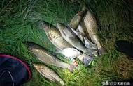 夏日夜晚钓鱼：掌握四大基本规则，大鱼连连上钩