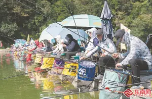 第三十四届福建省钓鱼比赛圆满落幕