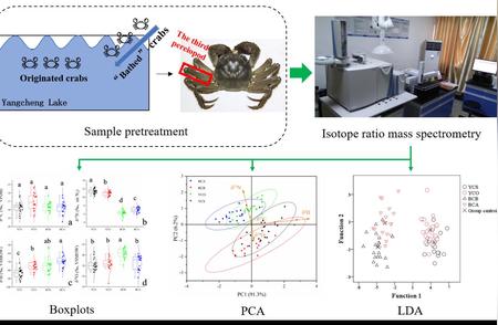 阳澄湖原产蟹鉴别技术取得新进展